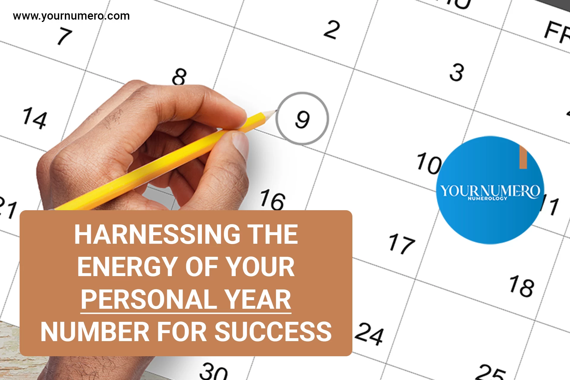 Harnessing the Energy of Your Personal Year Number for Success YourNumero